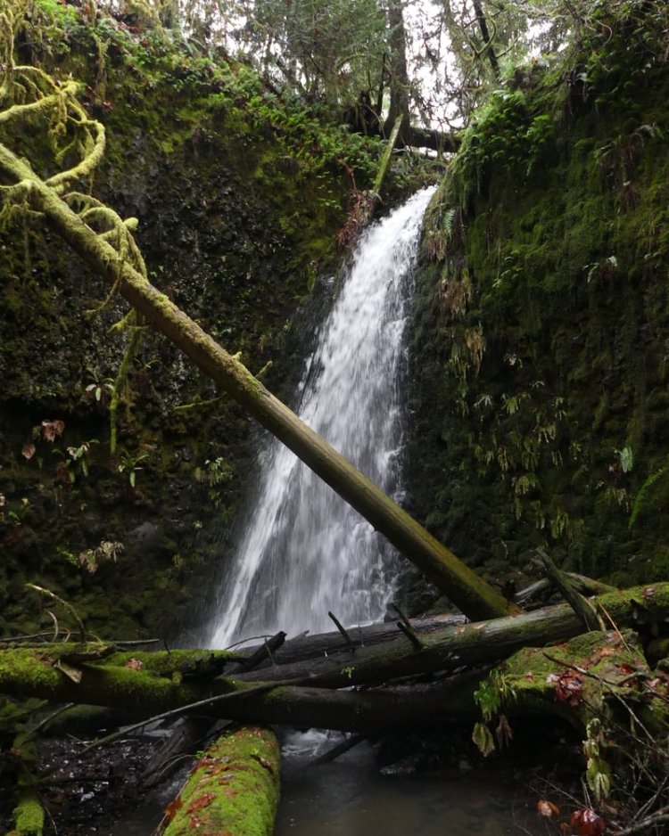Clandestine Hidden Falls Delana North Fork Clatskanie River Columbia County Northwest Oregon