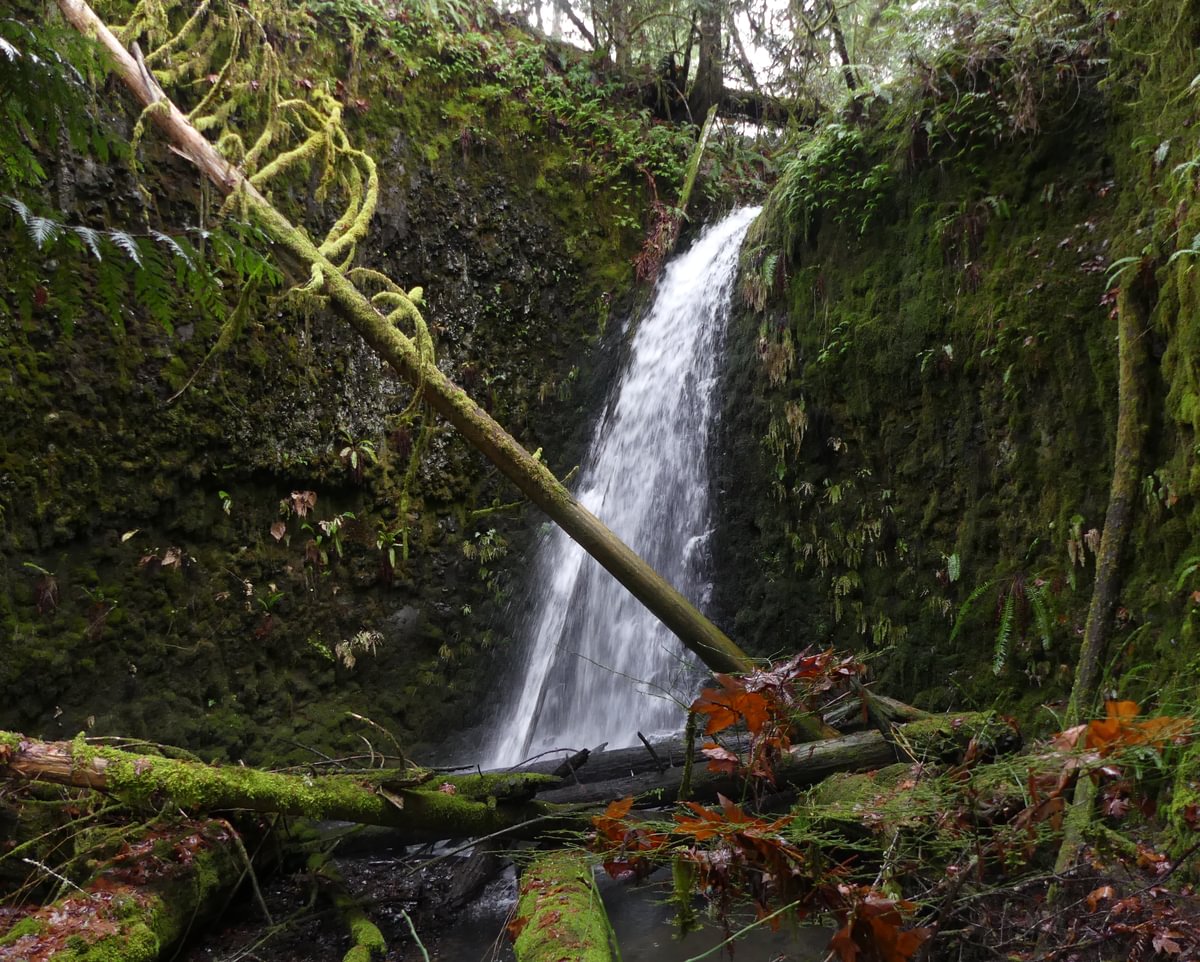Clandestine hidden Falls north fork clatskanie river delana apiary columbia county northwest oregon