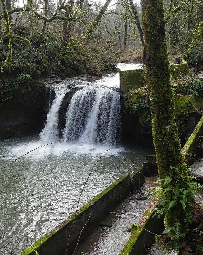 Goble Creek Falls fish ladder columbia county northwest oregon
