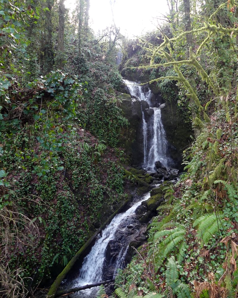 Owl Creek Falls Rainier Highway 30 columbia county northwest oregon