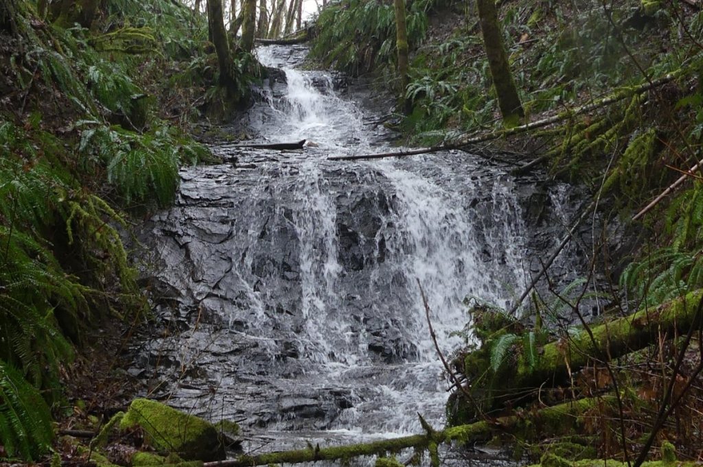 apiary Slide falls tide creek weyerhaeuser meissner columbia county northwest oregon