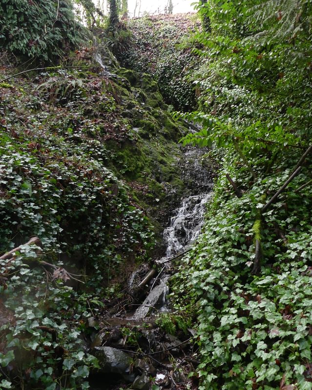 Dalton Lake waterfall falls st. helens oregon columbia county northwest