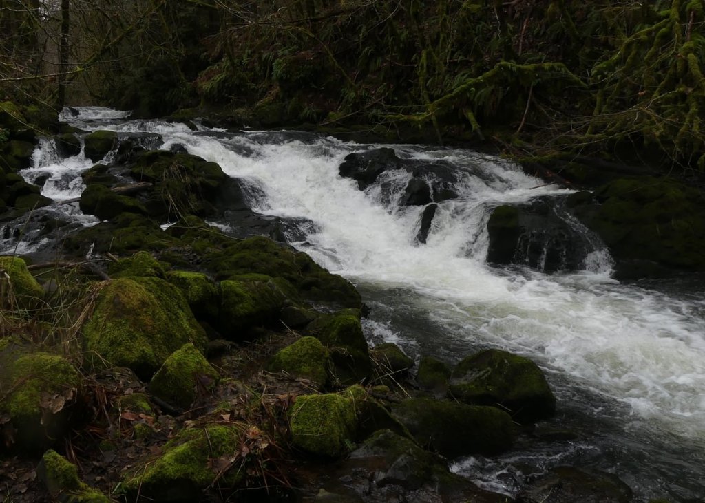 Upper Scappoose Falls creek Scappoose-Vernonia Highway columbia county northwest oregon