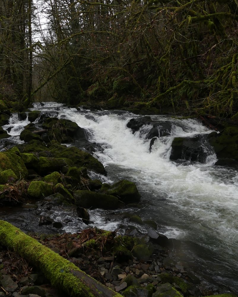 Upper Scappoose Falls creek Scappoose-Vernonia Highway columbia county northwest oregon