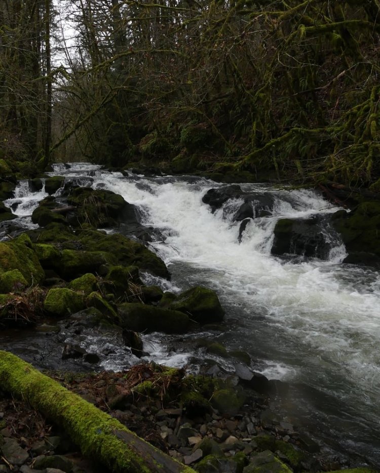 Upper Scappoose Falls creek Scappoose-Vernonia Highway columbia county northwest oregon