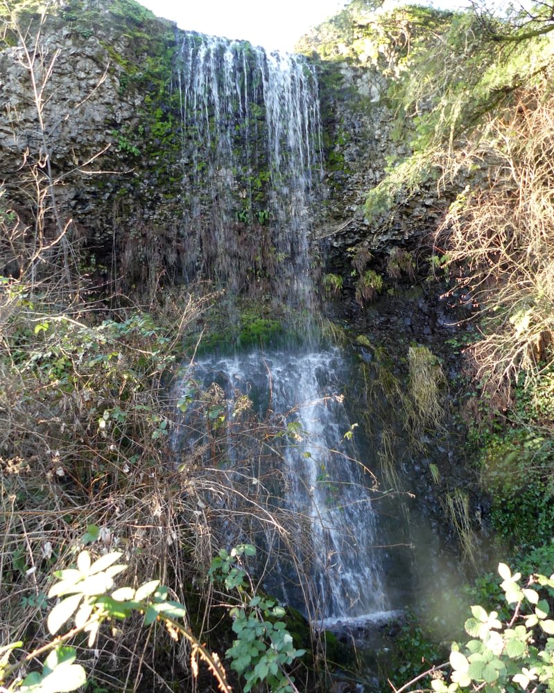 Liberty Hill vernal falls waterfall st. helens oregon columbia county northwest