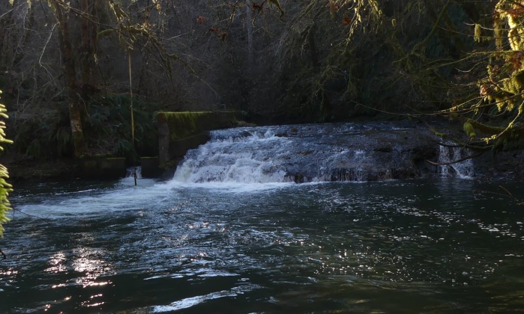 clatskanie river falls apiary waterfall columbia county northwest oregon