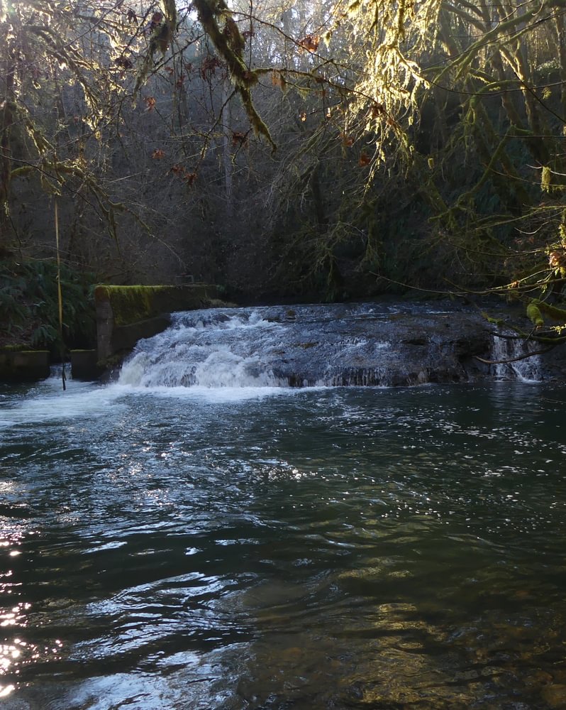 clatskanie river falls apiary waterfall columbia county northwest oregon