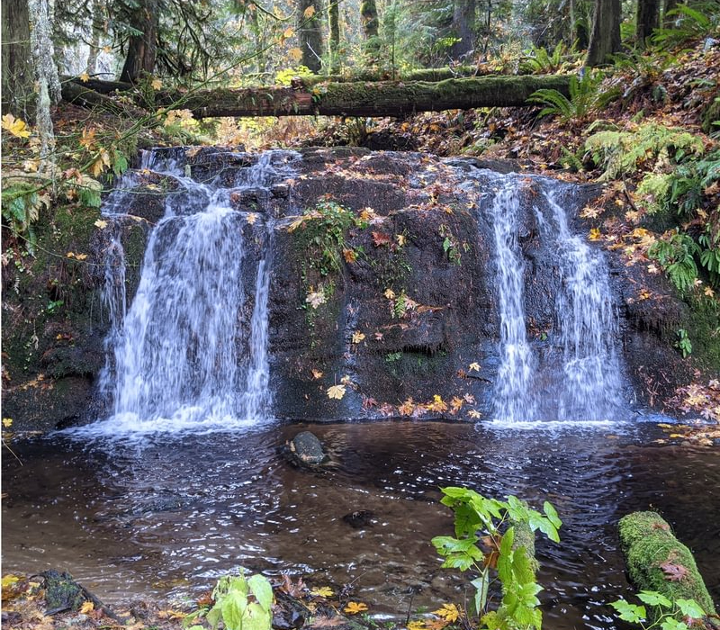 Keasey Falls waterfall Fall creek near rock creek Vernonia Columbia County Northwest Oregon