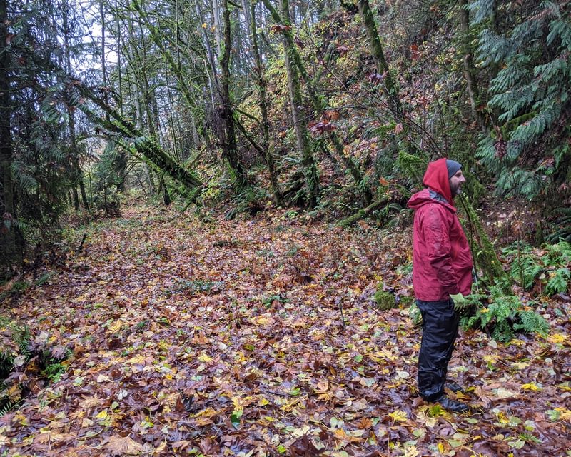 Jack Falls waterfall prescott rainier goble columbia county northwest oregon highway 30