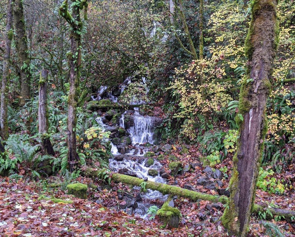 Welter Cemetery Falls waterfall Neer Creek prescott goble rainier columbia county northwest oregon trojan park