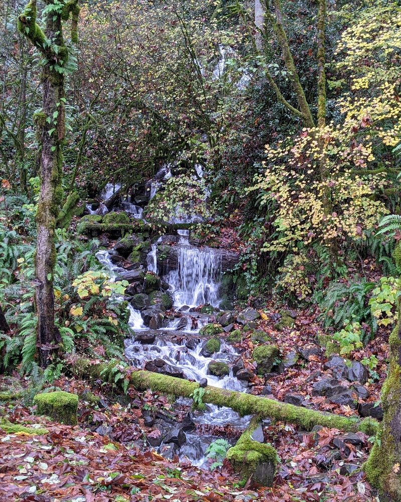 Welter Falls Prescott Rainier Highway 30 Columbia County Northwest Oregon