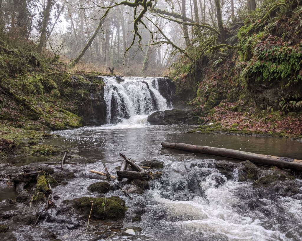 Tide Creek falls waterfall deer island goble columbia county northwest oregon
