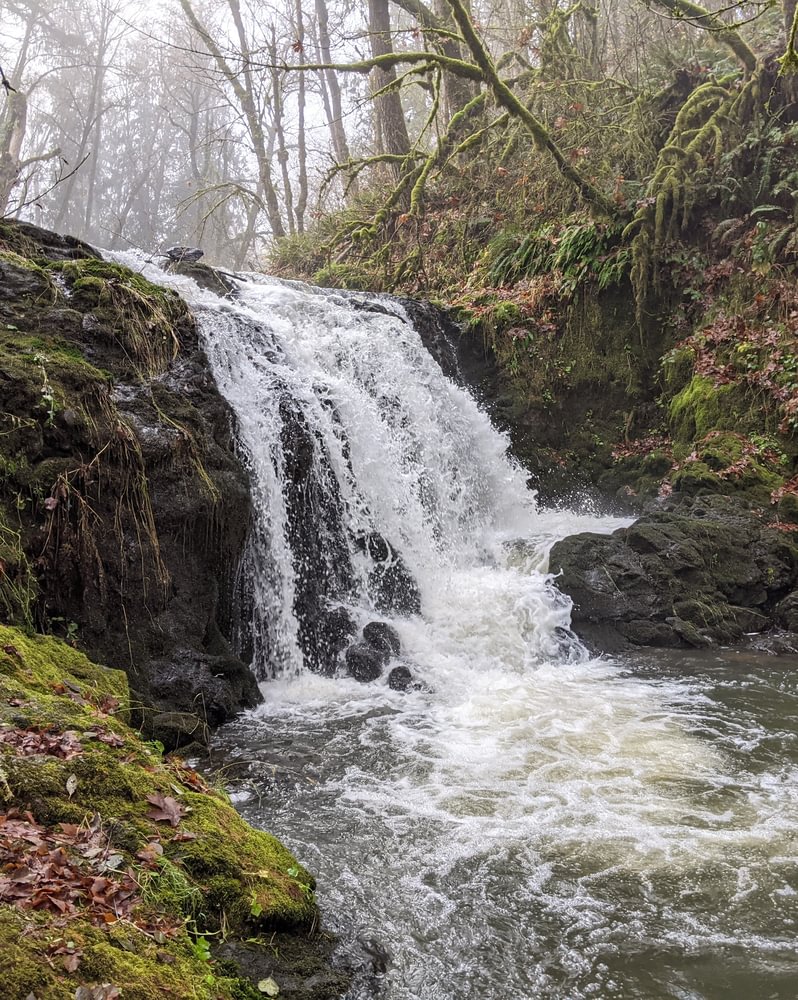 Tide Creek Falls Deer Island Goble Columbia County Northwest Oregon