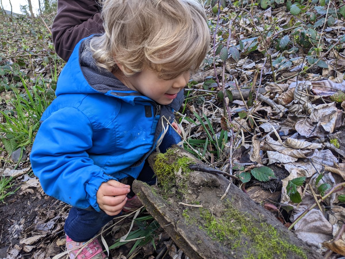 long-toed Salamander dalton lake bike trail st. helens columbia city rutherford parkway oregon