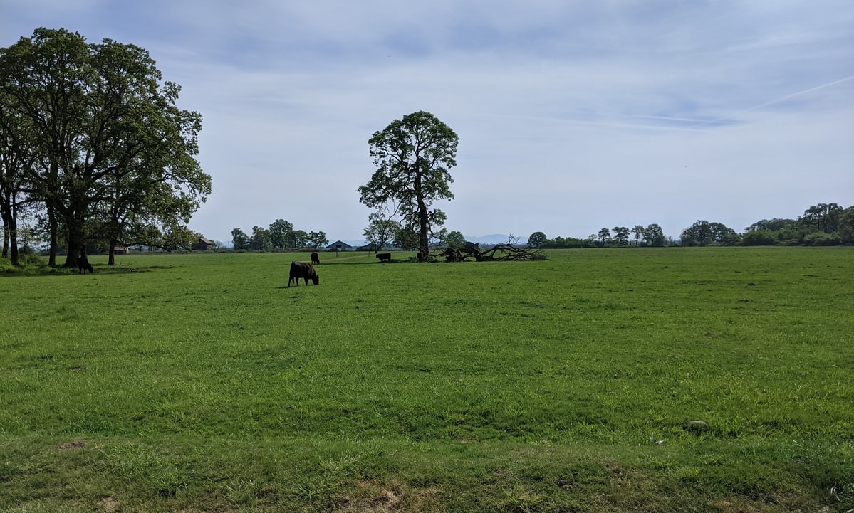 Oak Island nature trail sauvie island columbia county oregon