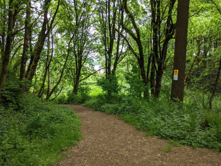 trestle beach deer island columbia county city st. helens oregon