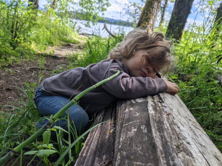 dalton lake bike trail st. helens columbia city parkway oregon
