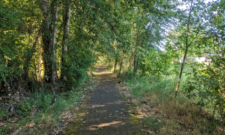 Scappoose Bay Marine Park Marina Columbia County oregon