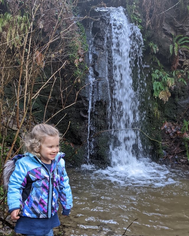 Nehalem Divide waterfall Sophia CZ Trail