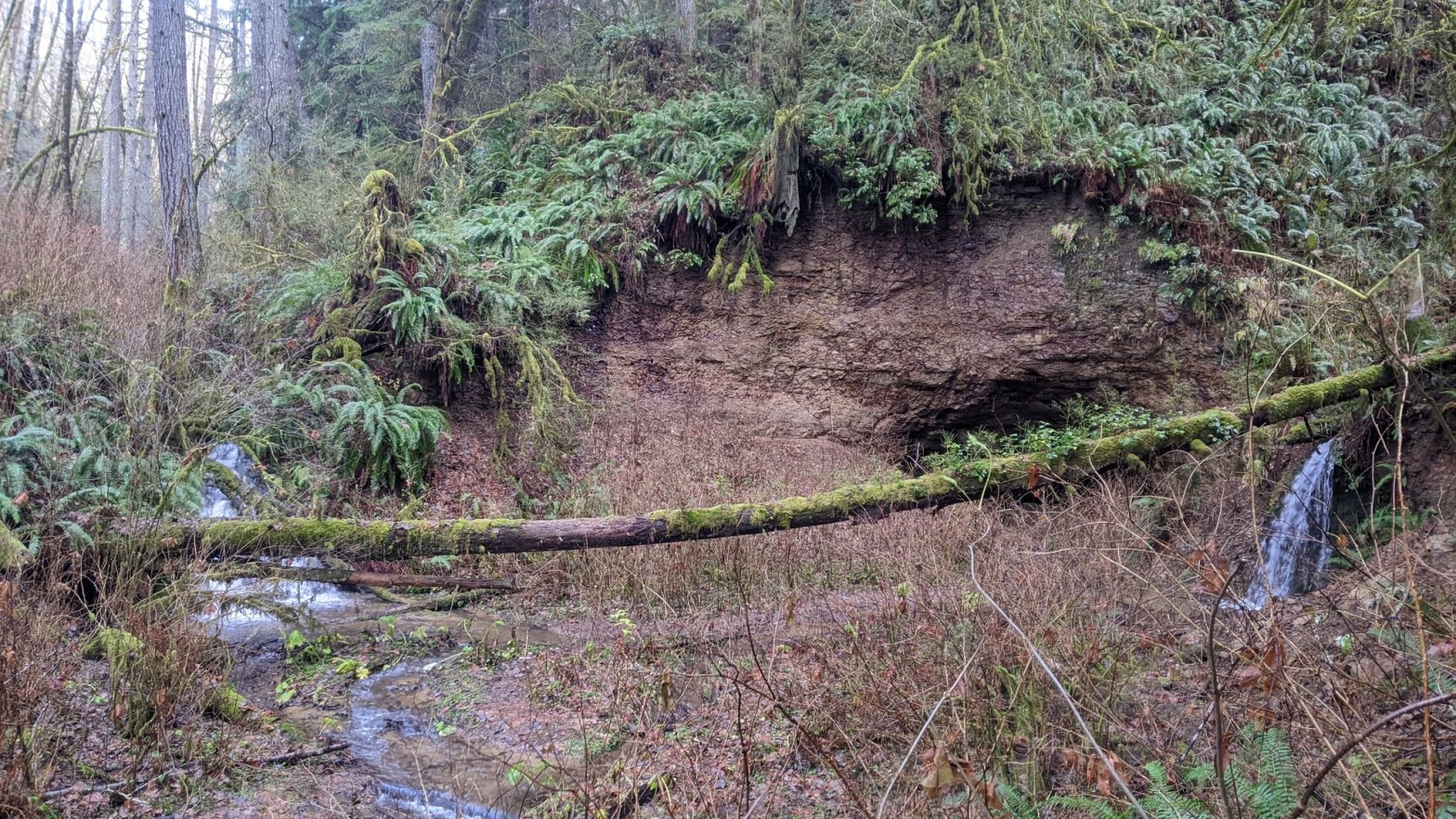 Nehalem Divide Tunnel west end with waterfalls crown zellerbach trail scappoose-vernonia columbia county northwest oregon