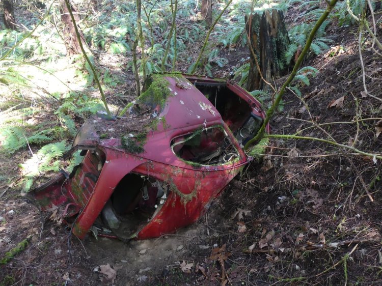 car crash nehalem divide tunnel east crown zellerbach cz trail railway railroad train tunnel chapman oregon columbia county