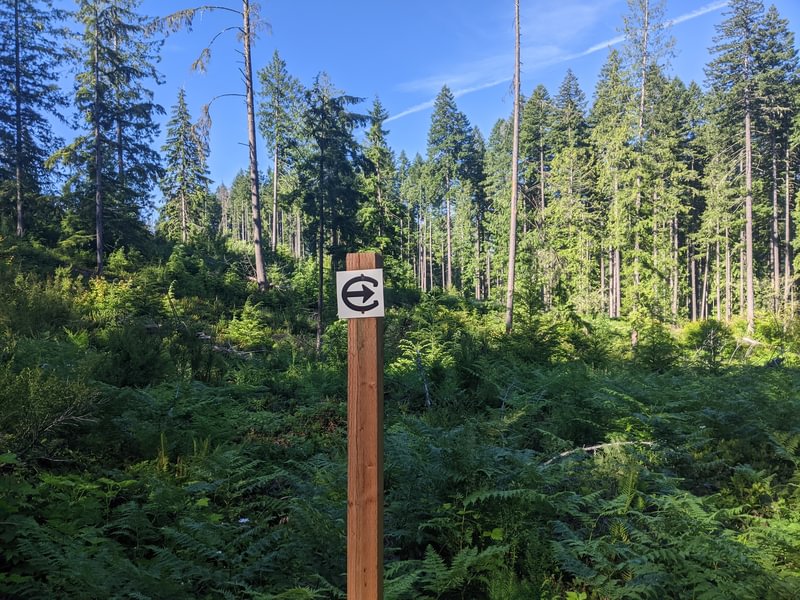 trail camp wilkerson apiary vernonia columbia county northwest oregon