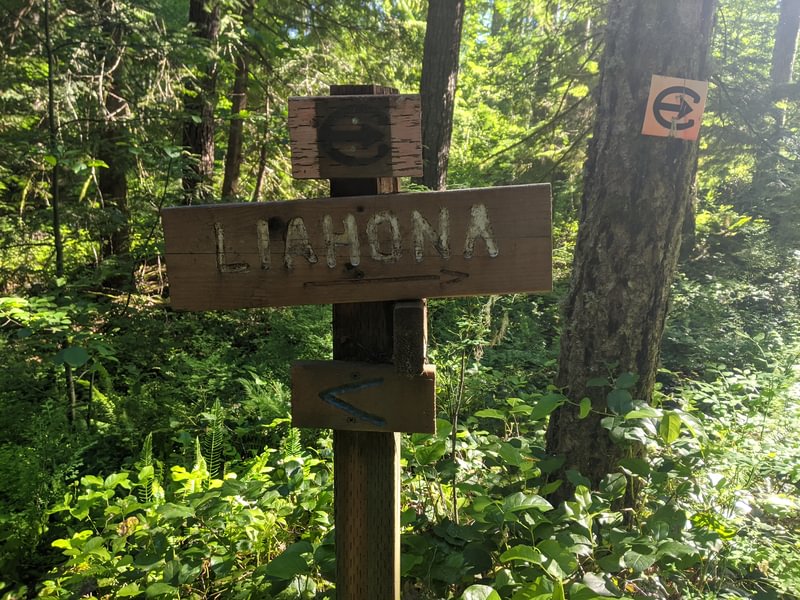 liahona trail camp wilkerson apiary vernonia columbia county northwest oregon