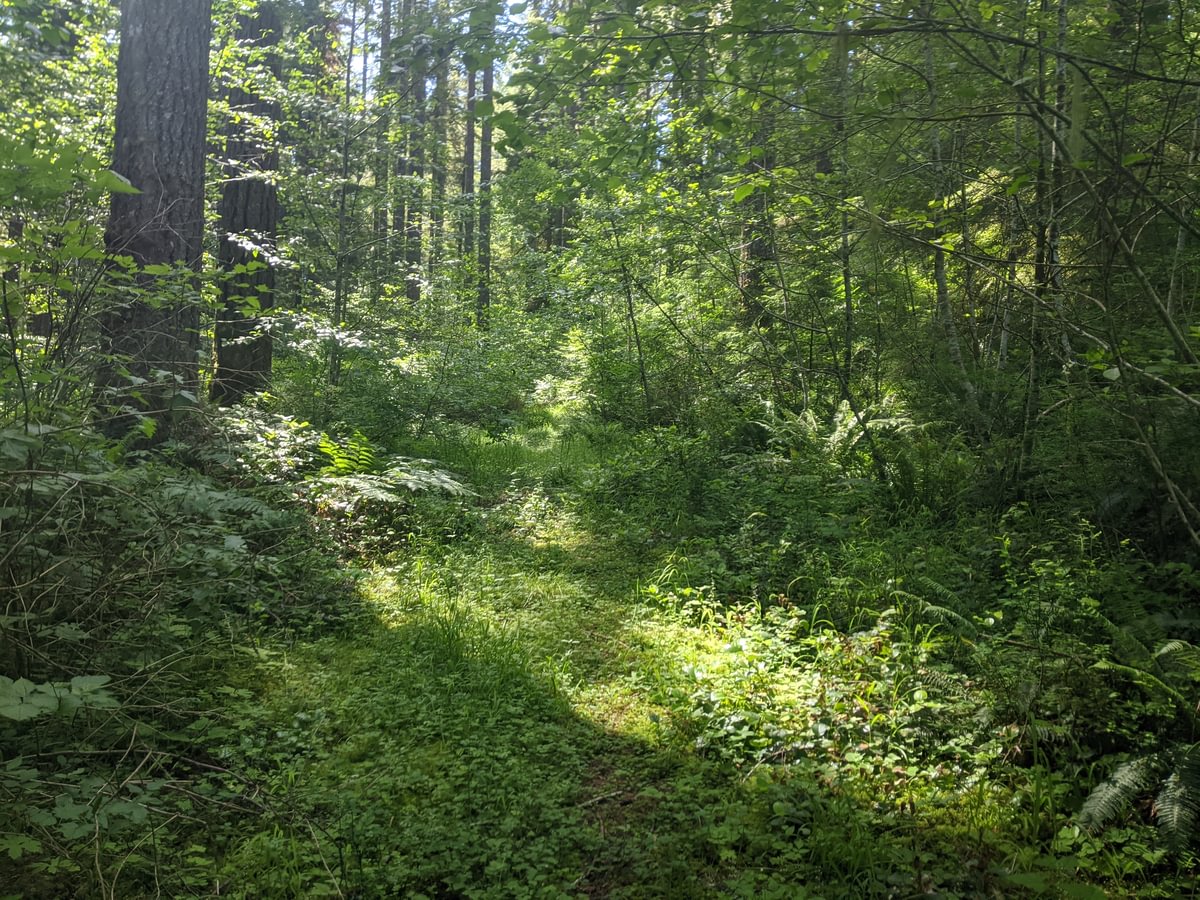 liahona trail camp wilkerson apiary vernonia columbia county northwest oregon