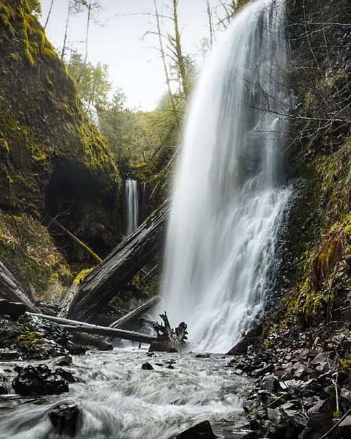 Lava Creek Falls Apiary Columbia County Northwest Oregon