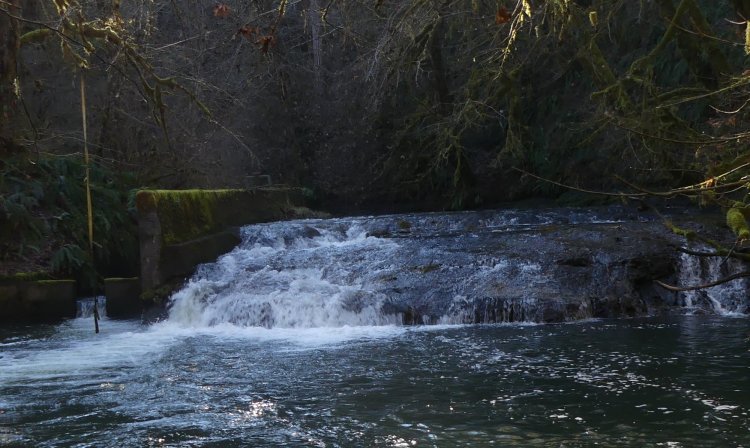 clatskanie river falls apiary waterfall columbia county northwest oregon