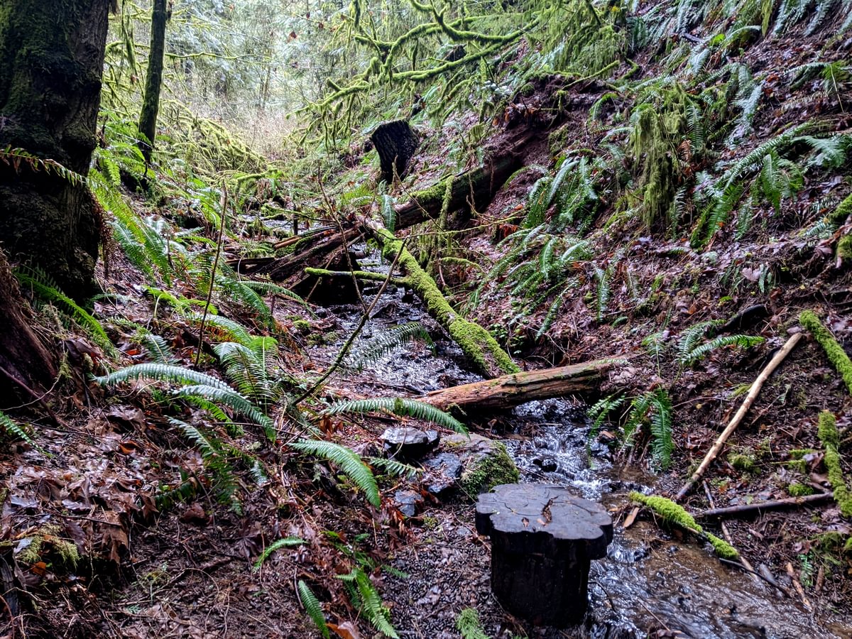 Gomukh Point Meditation Seat Vedanta Retreat Portland Scappoose oregon