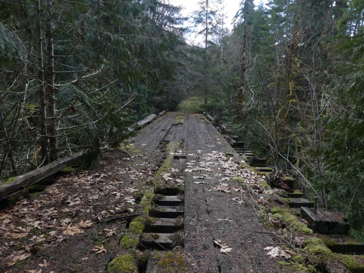 bridge rock creek keasey vernonia oregon