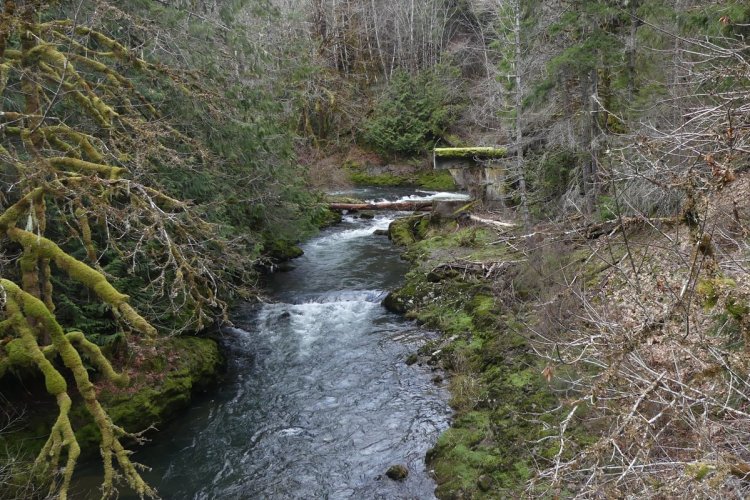 dam rock creek keasey vernonia