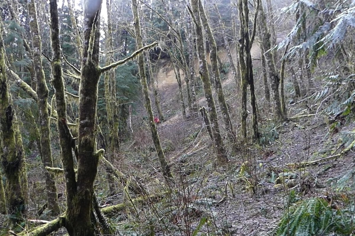 blown over entrance to Kerry Tunnel north side