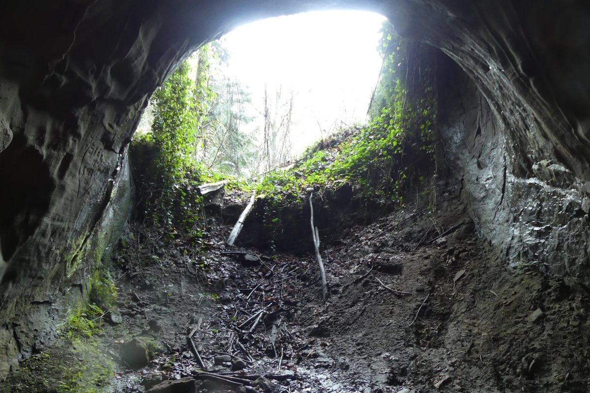 westport tunnel railway railroad train north entrance inside columbia county oregon logging