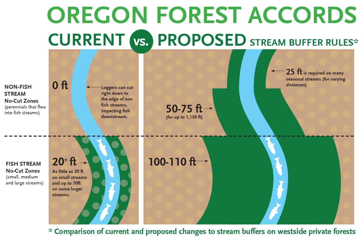 Oregon Forest Accord proposed changes