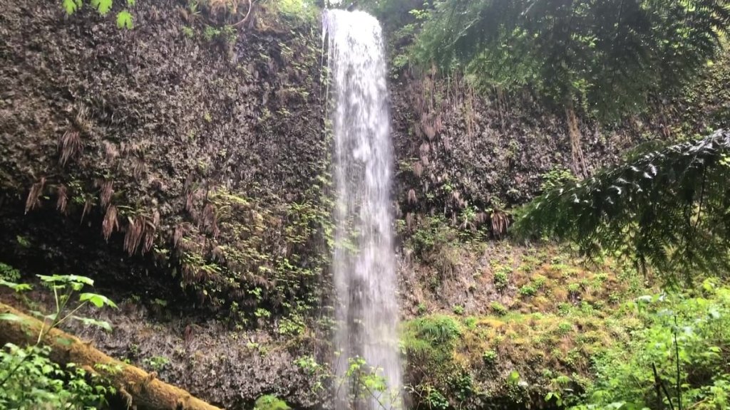 Mayfly Falls west fork carcus creek apiary columbia county oregon