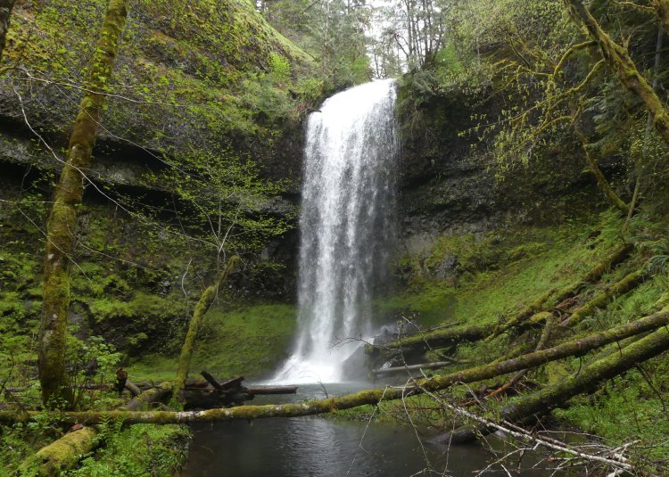 Carcus Creek Falls waterfall columbia county oregon