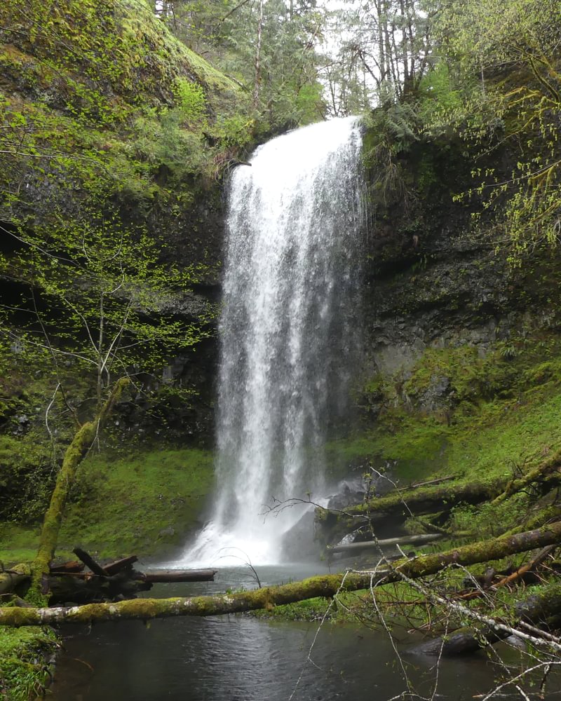 Carcus Creek Falls Apiary Columbia County Northwest Oregon