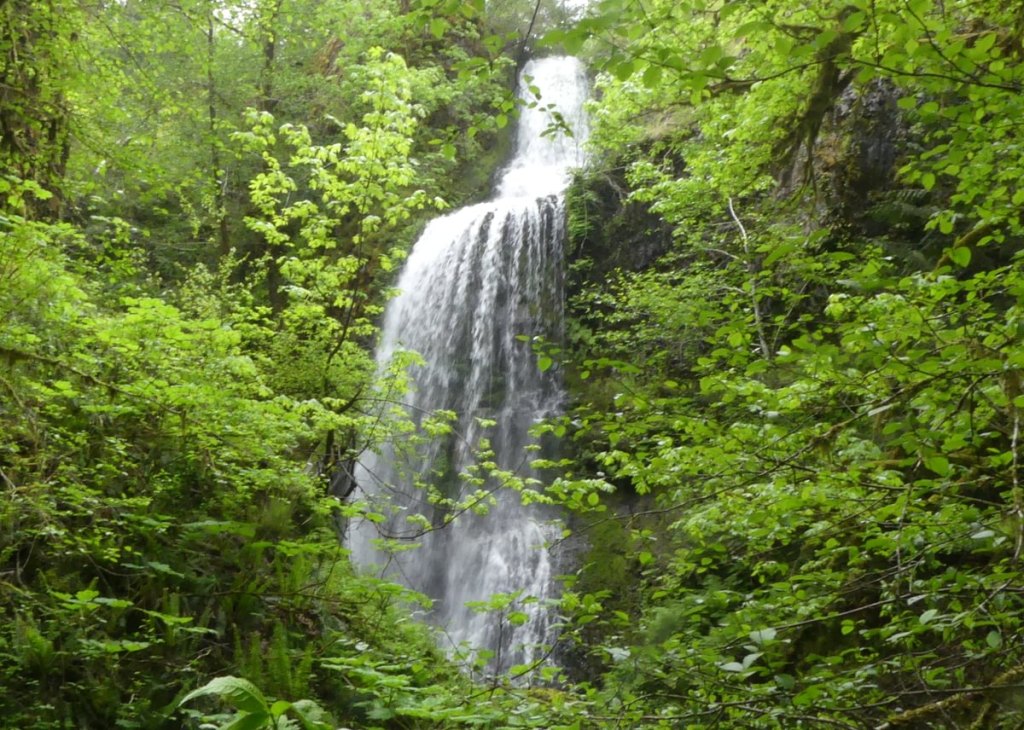 Lava Creek Falls waterfall apiary vernonia mist columbia county northwest oregon