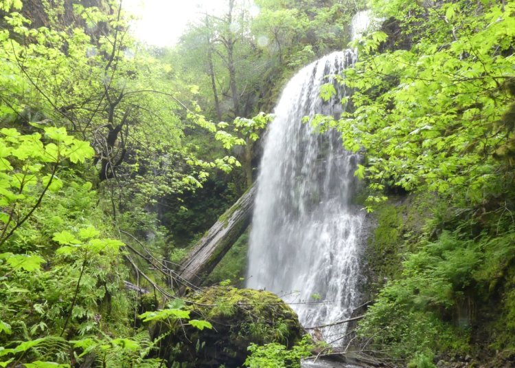 Lava Creek Falls waterfall apiary vernonia mist columbia county northwest oregon
