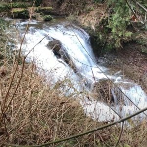 falls Plympton Creek Clatsop County waterfall oregon