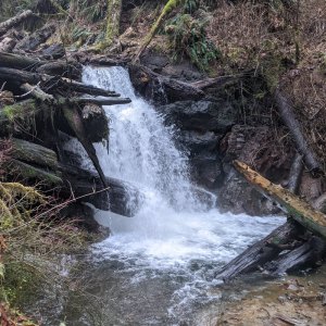 falls Plympton Creek Clatsop County waterfall oregon