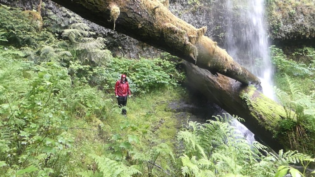 Mayfly Falls Matt D'Agrosa West Fork Carcus Creek apiary columbia county oregon