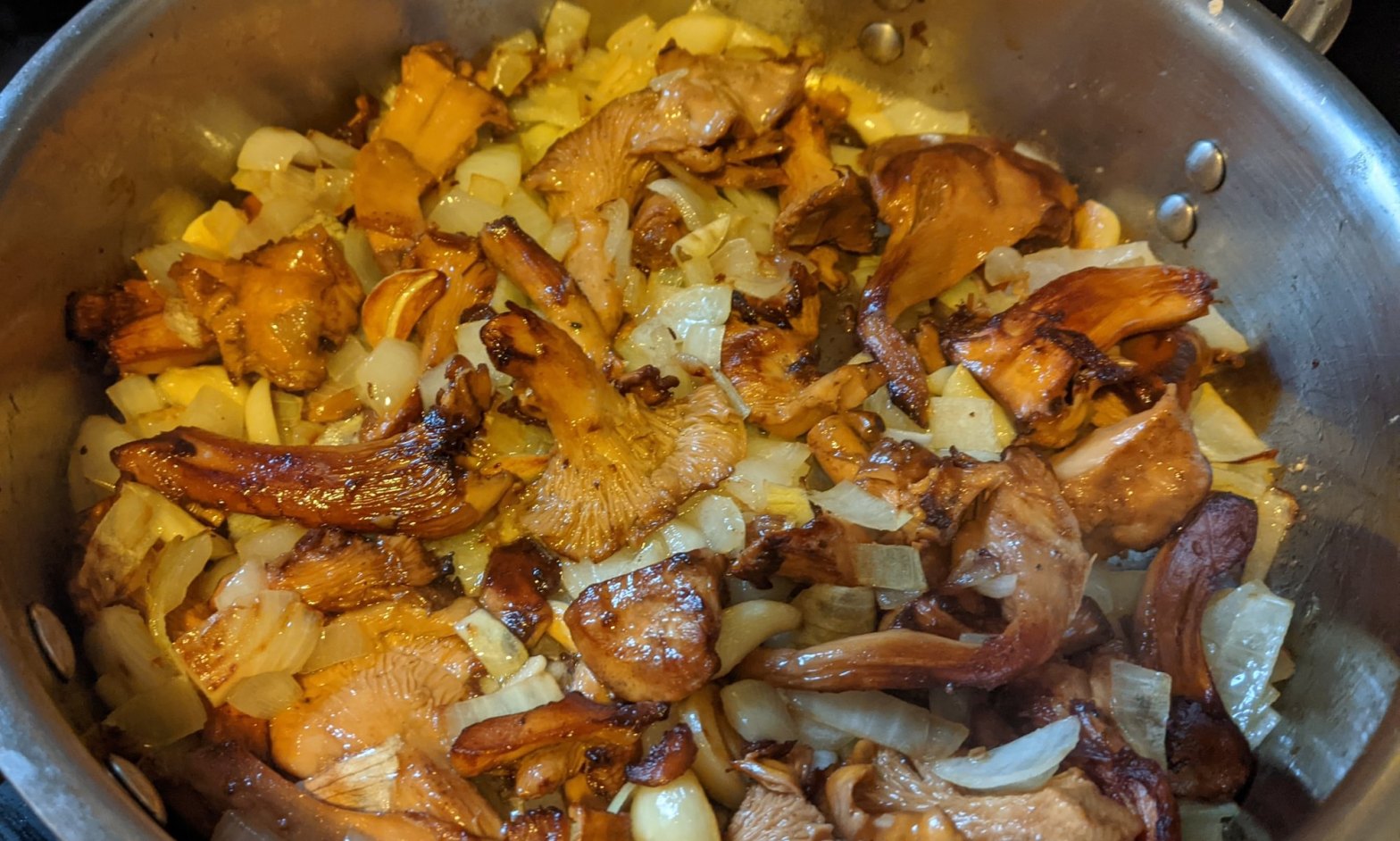 Pacific golden chanterelle Cantharellus formosus white chanterelle Cantharellus subalbidus columbia county northwest oregon