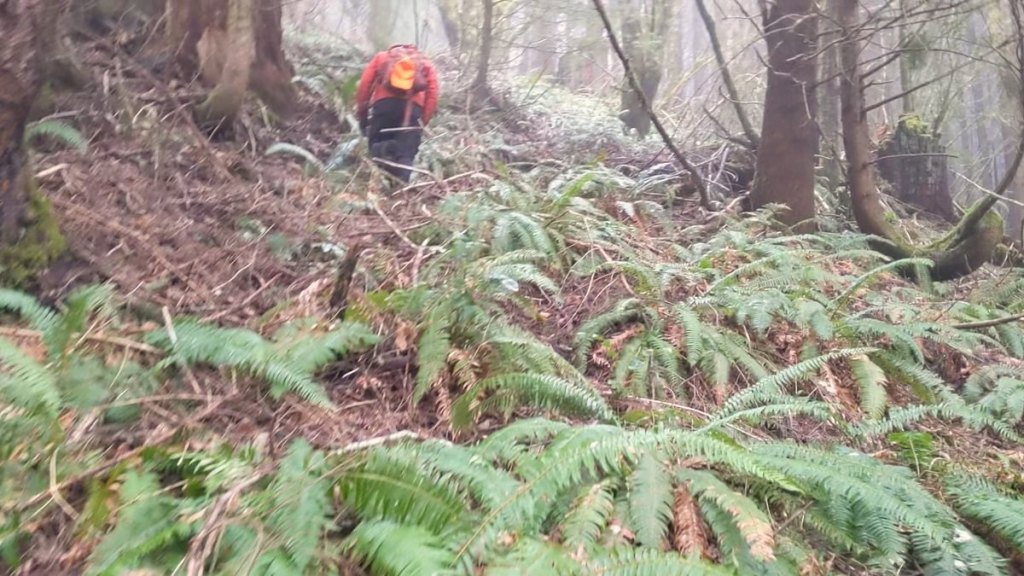 Plympton Creek Clatsop State Forest northwest oregon