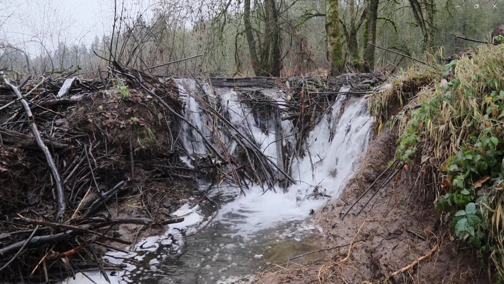 Dalton Lake bridge restoration st. helens oregon columbia county northwest