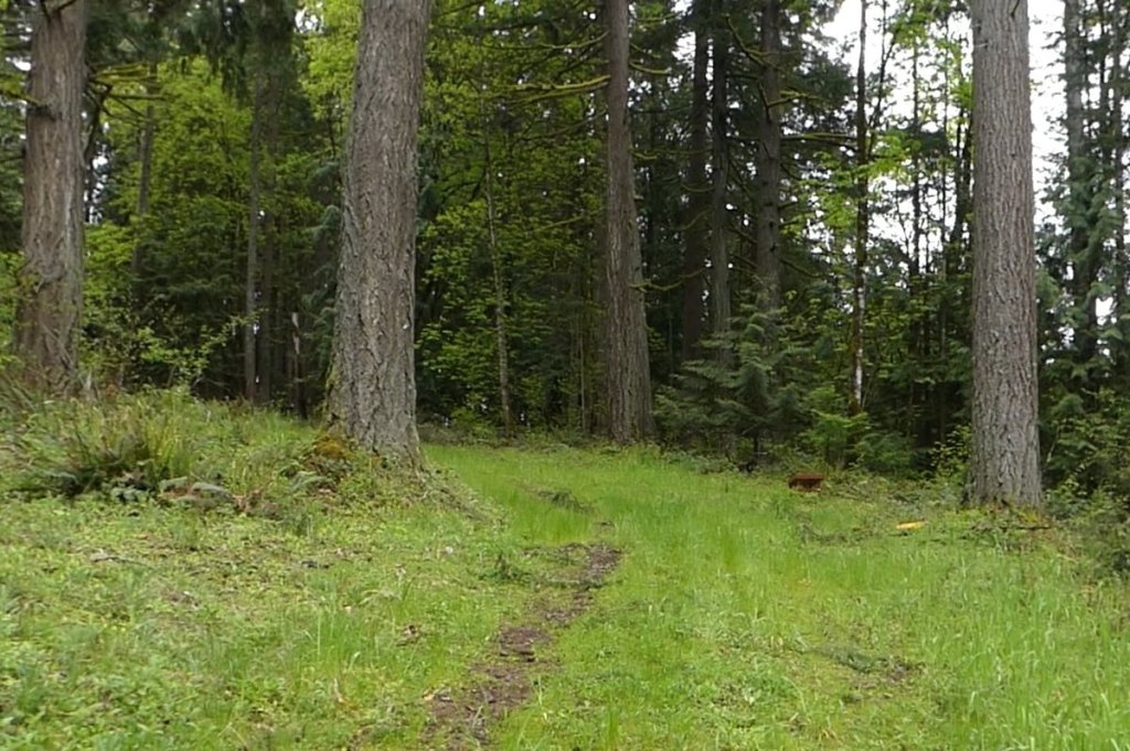 vista park property city of scappoose columbia county bella road oregon