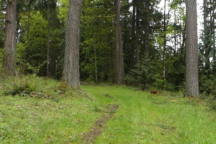 vista park property city of scappoose columbia county bella road oregon